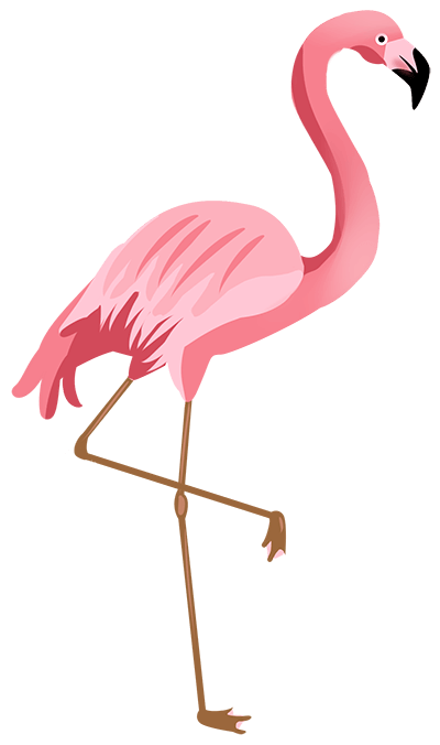 flamingo