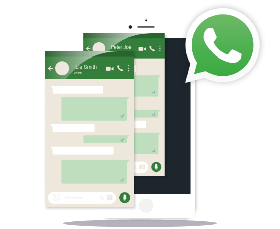 WhatsApp Messaging Service in Orlando & Central Florida